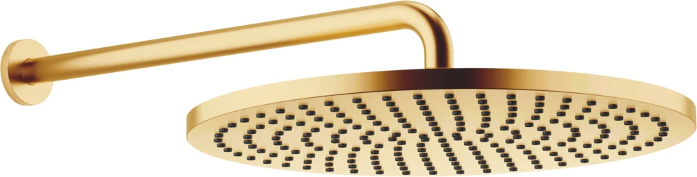 Prix Réduit Pomme de douche avec effet pluie Dornbracht ½" Laiton brossé